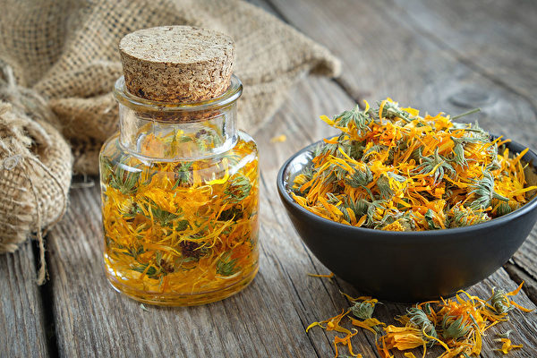 金盞花是最舒緩的草藥之一，有很好的保護皮膚、消炎的功效。(Shutterstock)