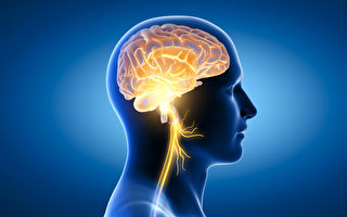 迷走神經：最長腦神經 刺激它能讓你更健康