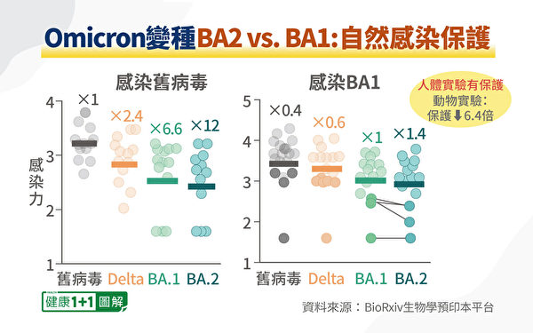 Omicron变种BA2 vs. BA1 自然感染保护效果。（健康1+1制图）