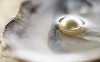 美國男子吃蛤蜊吃出珍珠 價值或有數千美元