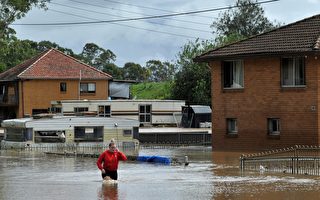 新州救援机构：悉尼仍面临洪水威胁