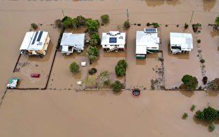 悉尼西南收到撤离警报 州长向北部受灾居民致歉