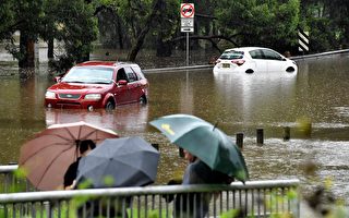 悉尼未來5天雨量或超100毫米 洪水風險增加
