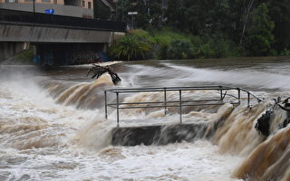 悉尼西区洪水中惊现两具尸体