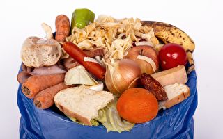 加国家庭每年浪费食物惊人 又污染环境