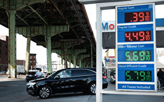 纽约州参议员提案 停征汽油税