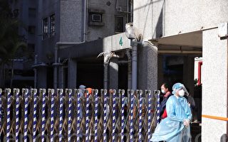 组图：香港屯门翠宁花园爆疫情 遭封区强检