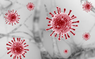 人体试验 注入新冠病毒 为何一半人不感染