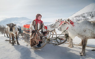 組圖：西伯利亞原住民涅涅茨人的遊牧之旅