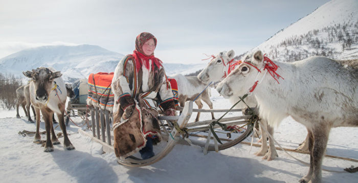 组图：西伯利亚原住民涅涅茨人的游牧之旅