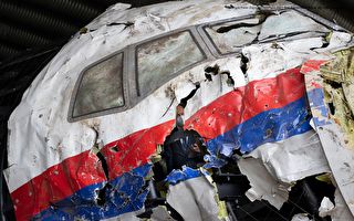 澳荷已共同起诉俄罗斯击落马航MH17航班