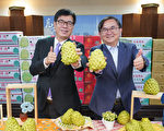 陈其迈挺台东凤梨释迦 高市府认购三百箱