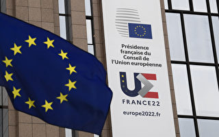 歐盟：禁止信用評級機構對俄國及俄企進行評級