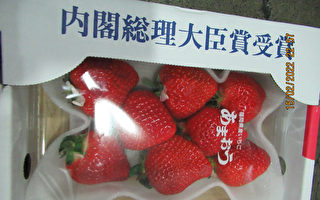 日本草莓检出农药超标 台食药署：不排除延长逐批查验规定