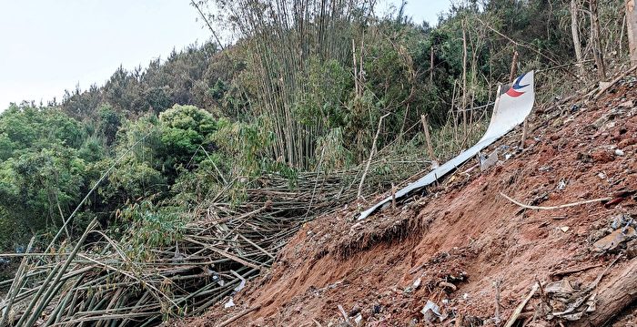 东航班机山区坠毁 知道和不知道的几件事