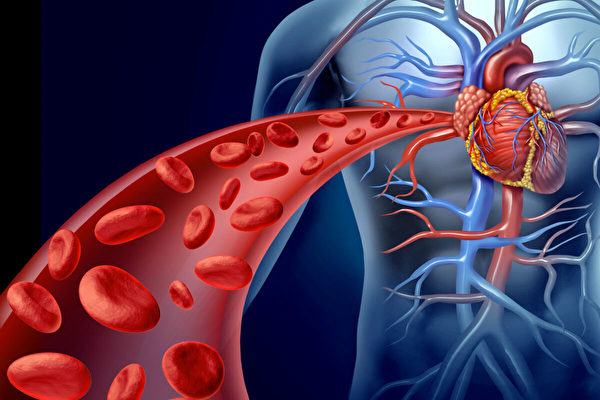 心脏病是可以预防、逆转的，重要方法就是降低坏胆固醇浓度。(Shutterstock)