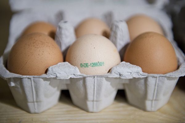 戰爭影響供應鏈 德國今夏雞蛋可能缺貨