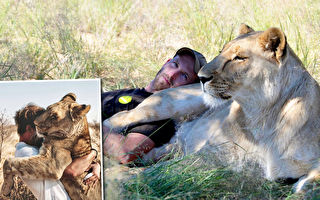 男子拯救遗弃幼狮 和狮子温柔拥抱的视频广传