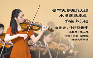 【器乐独奏与协奏曲】柴可夫斯基D大调小提琴协奏曲，作品第35号