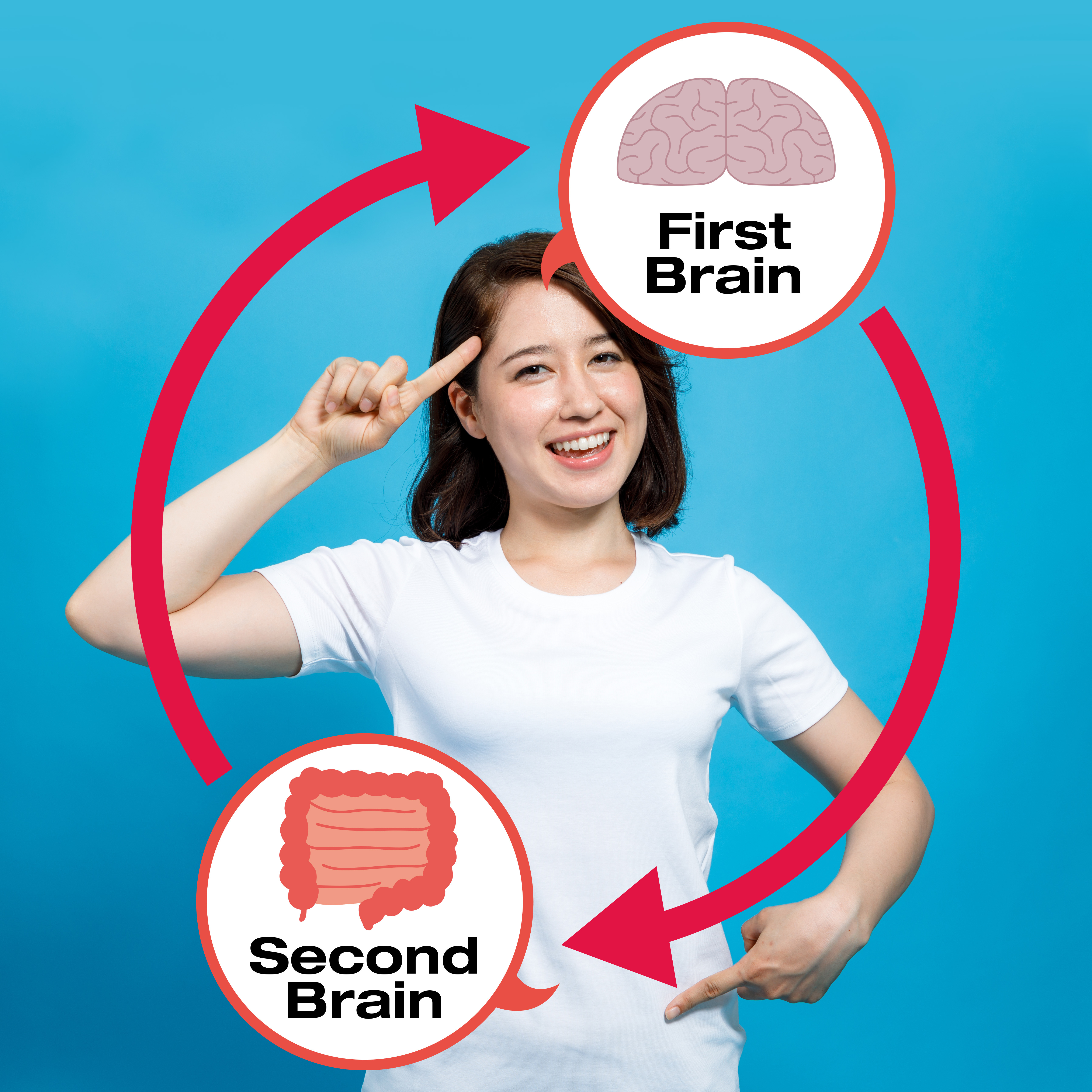 人体肠道被称为第二大脑。(Shutterstock)
