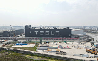 特斯拉或在德州建鋰精煉廠 保電動車電池供應