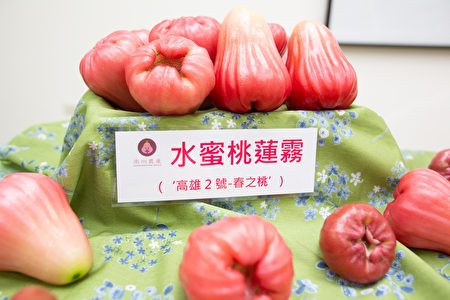 图为高雄区农业改良场研发的莲雾新品种“高雄2号-春之桃”。