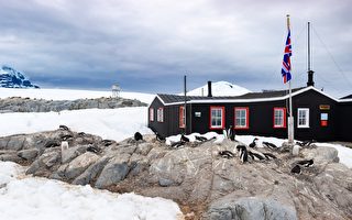 南极邮局招募员工 工作包括数企鹅
