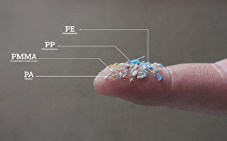 科學家首次在人類活體肺部發現微塑料