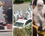 【网海拾贝】你们造了如此大的谣，为何没人担责？