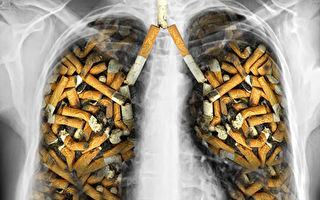為什麼大多數菸民沒有患肺癌 研究析因