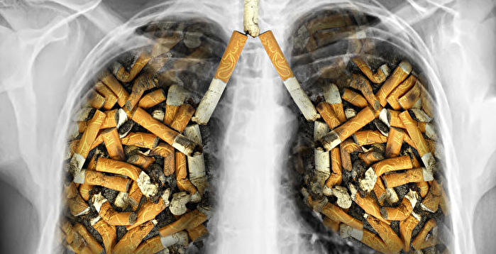 为什么大多数烟民没有患肺癌 研究析因