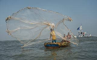 中共远洋捕渔船队非法滥捕 致西非民生困难
