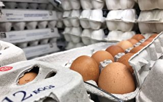 養雞成本上漲 英國雞蛋恐漲價