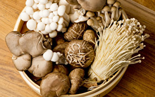 蘑菇冷凍後更養肝 6食材保存竅門一定要學會