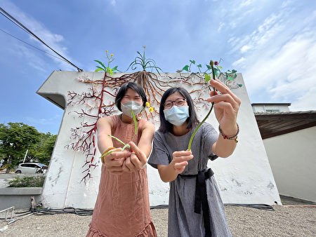 艺术家林资芬(左)和吴宜静(右)诠释植物丰富的生命力，作品《地下森林：根系与菌根》，呼应人与自然互相依存和影响的密切关系。