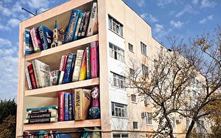 组图：艺术家将破旧公寓改造成巨型3D书架