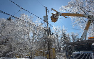 4月遭遇强风暴雪 魁省17万户家庭断电
