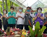 桃园客家桐花祭 回归对土地最质朴的感谢