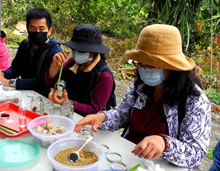 農遊體驗，DIY梅香米麴豆腐乳。