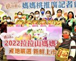 妈妈桃领鲜上市 桃市府助果农推广