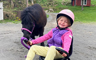 6岁女孩与迷你马的友谊 甜蜜和关爱
