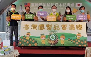 台湾凤梨首度成为日本校园营养午餐水果