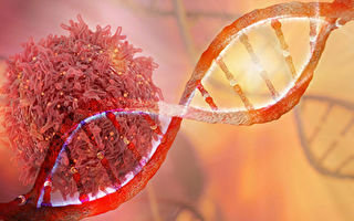 研究：遗传因素对癌症并非已知那么重要