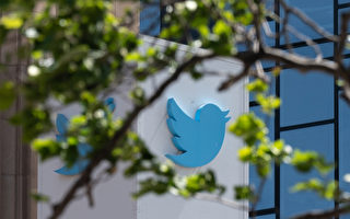 推特CEO称难在外部审查假账号 马斯克质疑
