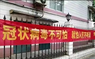 郝平：北京議「扁鵲」上海現「賈慶林」 習仍被騙？