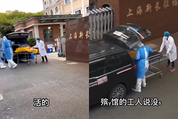 上海养老院将活人装尸袋送火化 官方承认