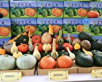 造桥南瓜节活动 5月14日隆重登场