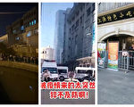 【网海拾贝】沪杭开建核酸亭 测核酸将成新常态