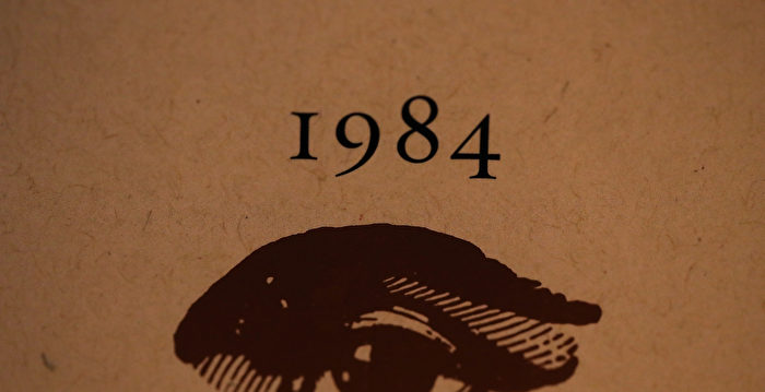 美设假信息治理委员会 被批是奥维尔式真理部