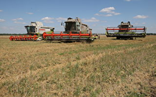 波匈兩國禁烏克蘭穀物 歐盟警告勿單邊行動